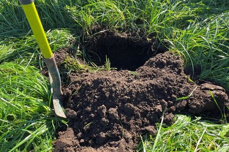 Photo of property in 213 Black Swamp Road, Mangawhai, Wellsford, 0975