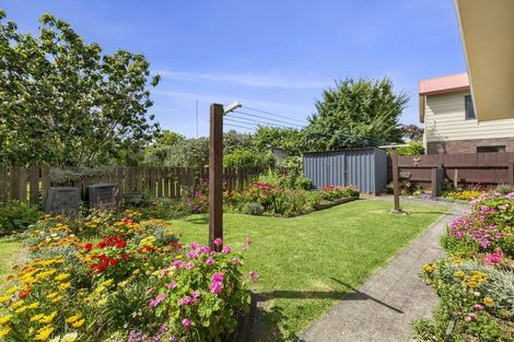 Photo of property in 14 John Street, Raglan, 3225