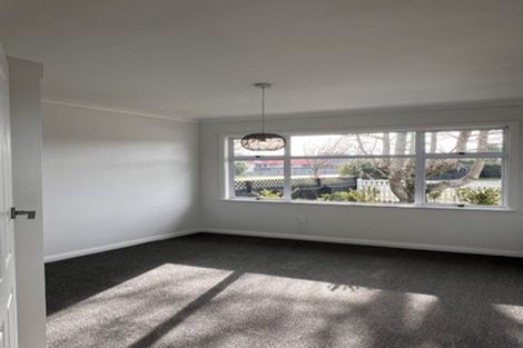 Photo of property in 110 Fitzroy Street, Terrace End, Palmerston North, 4410