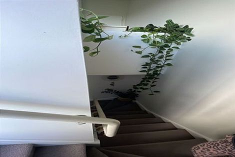 Photo of property in 31 Lemon Tree Lane, Flat Bush, Auckland, 2019