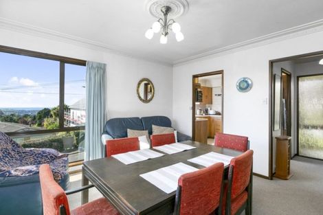 Photo of property in 33 Kilgour Street, Roslyn, Dunedin, 9010