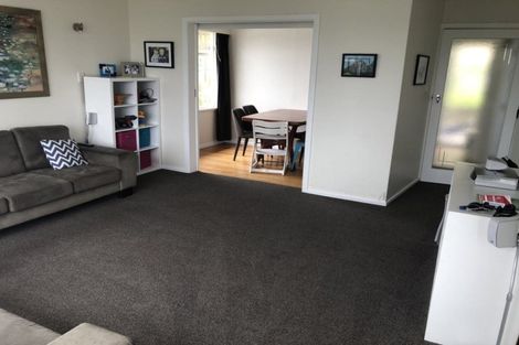 Photo of property in 17 Bedford Street, Northland, Wellington, 6012