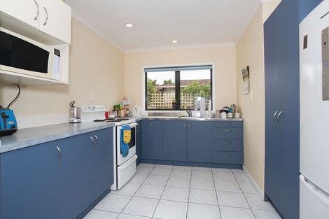 Photo of property in 19 Moore Street, West End, Palmerston North, 4412