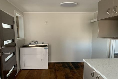 Photo of property in 487 Richardson Road, Mount Roskill, Auckland, 1041