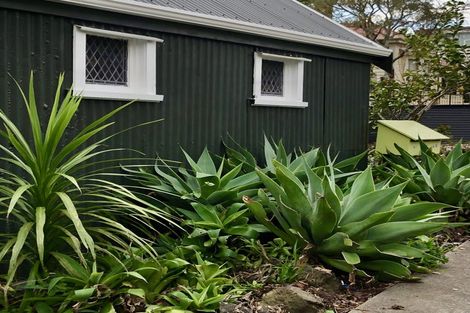 Photo of property in 41 Esplanade Road, Mount Eden, Auckland, 1024
