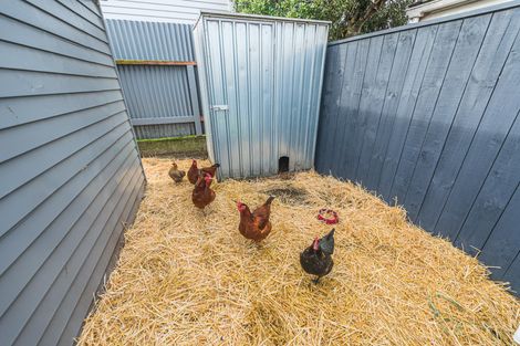 Photo of property in 4 Muir Street, Gonville, Whanganui, 4501