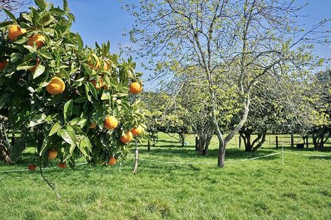 Photo of property in 703 Old Coach Road, Pongakawa, Te Puke, 3186
