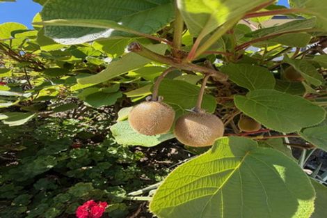 Photo of property in 23 Aln Street, Oamaru, 9400