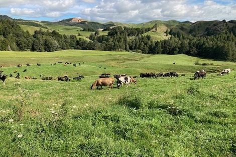 Photo of property in 755 Limeworks Loop Road, Karamu, Hamilton, 3285