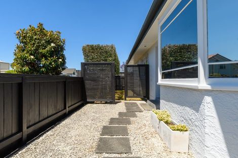 Photo of property in 54 Kulim Avenue, Otumoetai, Tauranga, 3110