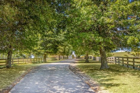 Photo of property in 883 Peak Road, Helensville, 0875