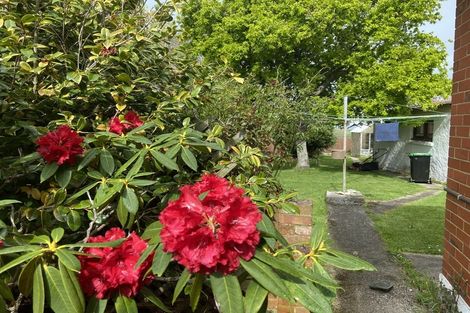 Photo of property in 260 Highcliff Road, Shiel Hill, Dunedin, 9013