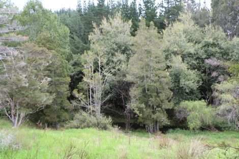 Photo of property in 229 Taylor Road, Taipa, Kaitaia, 0483