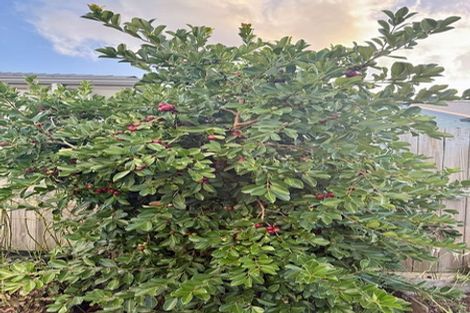 Photo of property in 10 Wairepo Street, Takanini, 2112