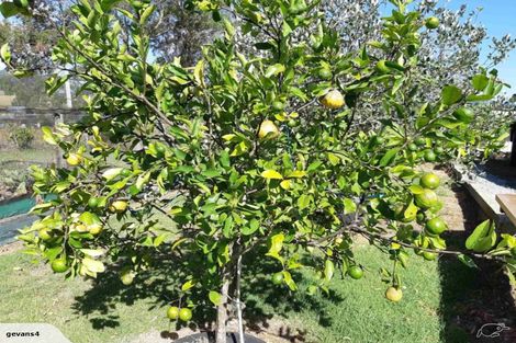 Photo of property in 3353 Mangakahia Road, Pakotai, Whangarei, 0172