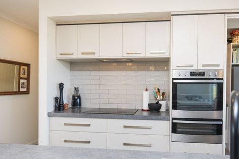 Photo of property in 60 Beechwood Road, Feilding, 4779