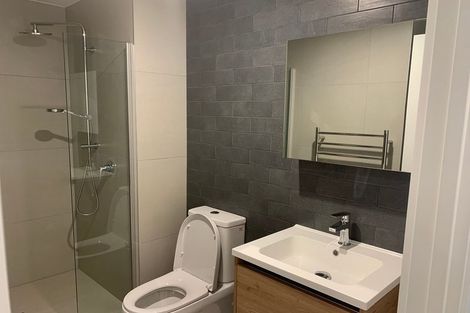 Photo of property in 213/428 Dominion Road, Mount Eden, Auckland, 1024