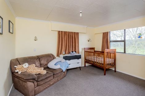 Photo of property in 292 Heatherlea Road East, Levin, 5571