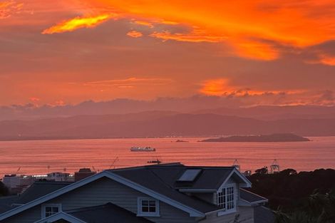 Photo of property in 31 Putnam Street, Northland, Wellington, 6012