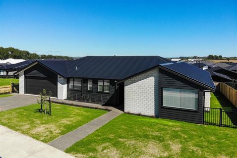 Photo of property in 3 Werewere Street, Morrinsville, 3300