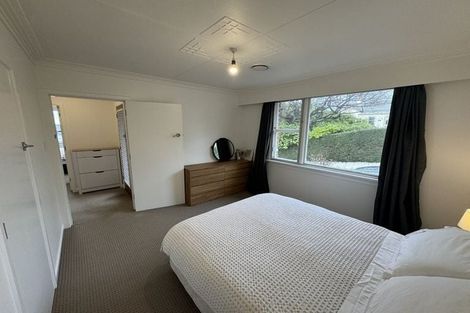 Photo of property in 8a Merlin Street, Roslyn, Dunedin, 9010