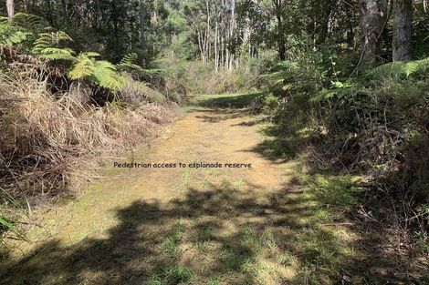 Photo of property in 434 Pahi Road, Pahi, Paparoa, 0571