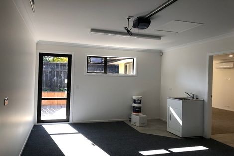 Photo of property in 5b Manchester Street, Levin, 5510