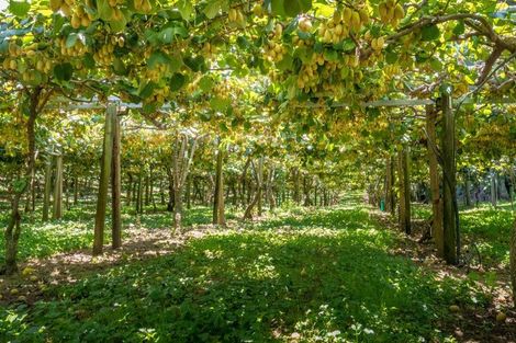 Photo of property in 42 Borell Road, Te Puna, Tauranga, 3174