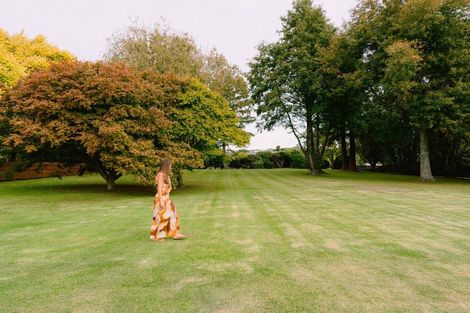 Photo of property in 59c Western Avenue, Omokoroa, 3114