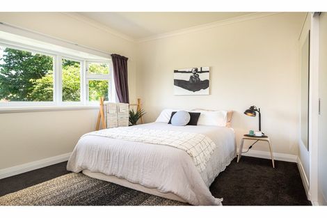 Photo of property in 60 Petrie Street, Richmond, Christchurch, 8013