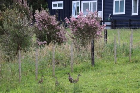 Photo of property in 1281 Whangaripo Valley Road, Whangaripo, Wellsford, 0972