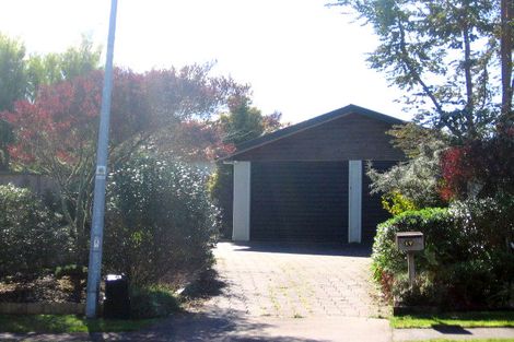 Photo of property in 17 Meridian Place, Flagstaff, Hamilton, 3210