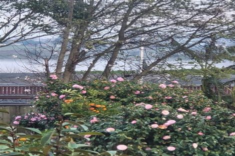 Photo of property in 17 Hakanoa Street, Huntly, 3700