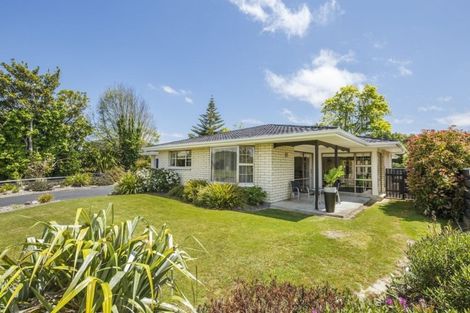 Photo of property in 33 Dittmer Drive, Awapuni, Palmerston North, 4412