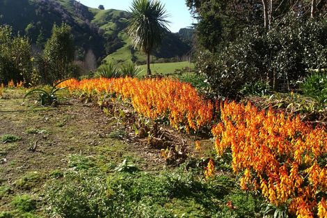 Photo of property in 162e Matokitoki Valley Road, Matokitoki, Gisborne, 4071