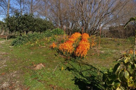 Photo of property in 162e Matokitoki Valley Road, Matokitoki, Gisborne, 4071