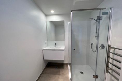 Photo of property in 17 Clay Works Lane, New Lynn, Auckland, 0600