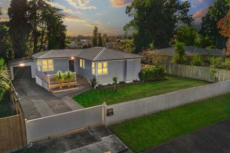 Photo of property in 36 Mildmay Road, Henderson, Auckland, 0610