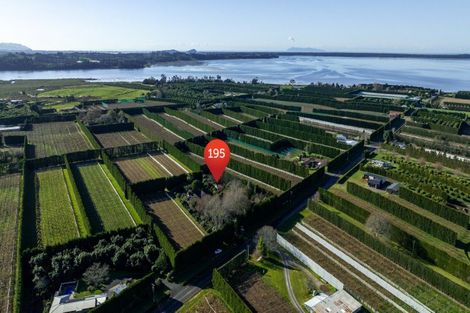 Photo of property in 195 Beach Road, Katikati, 3178