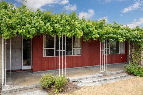 Photo of property in 37 Eureka Street, Alexandra, 9320