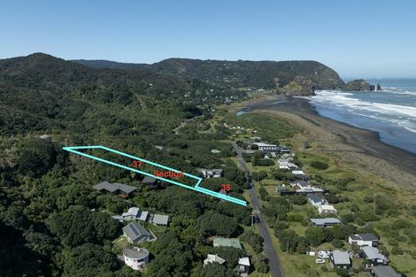 Photo of property in 35 North Piha Road, Piha, 0772