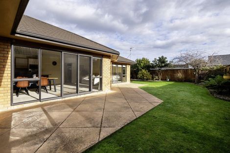 Photo of property in 11 Homewood Avenue, Levin, 5510