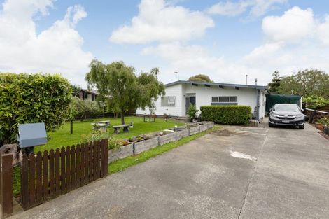 Photo of property in 105 Oxford Street, Ashhurst, 4810