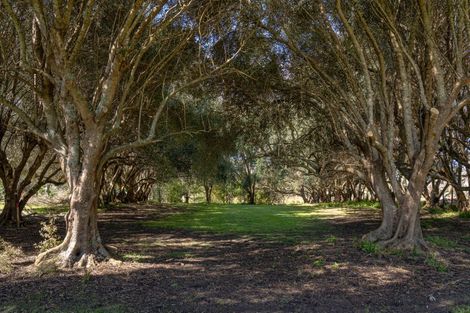 Photo of property in 46 Mahanga Road, Pataua South, Parua Bay, 0192