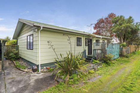 Photo of property in 53a Kirk Street, Otaki, 5512