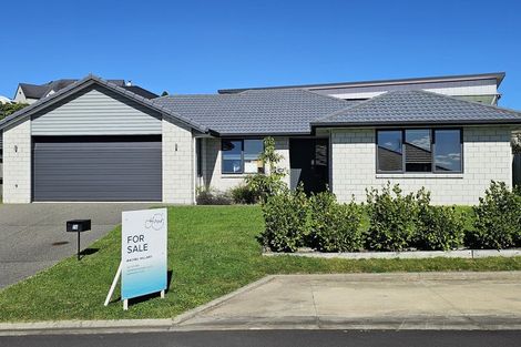 Photo of property in 78 Bert Wall Drive, Omokoroa, 3114