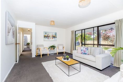 Photo of property in 22b Sandleigh Road, Hamilton Lake, Hamilton, 3204