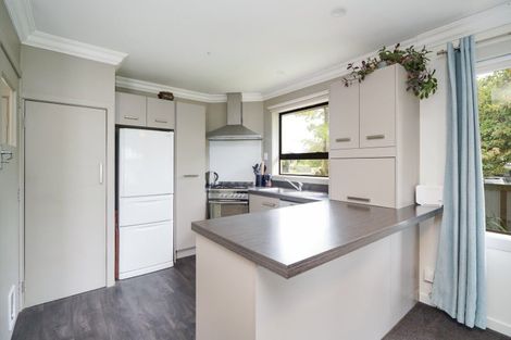 Photo of property in 3 Pine Crescent, Hargest, Invercargill, 9810