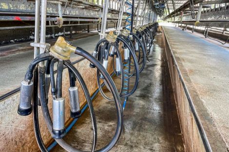 Photo of property in 72 Pilling Road, Tomarata, Wellsford, 0974