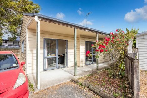 Photo of property in 51 Mahoe Street, Melville, Hamilton, 3206